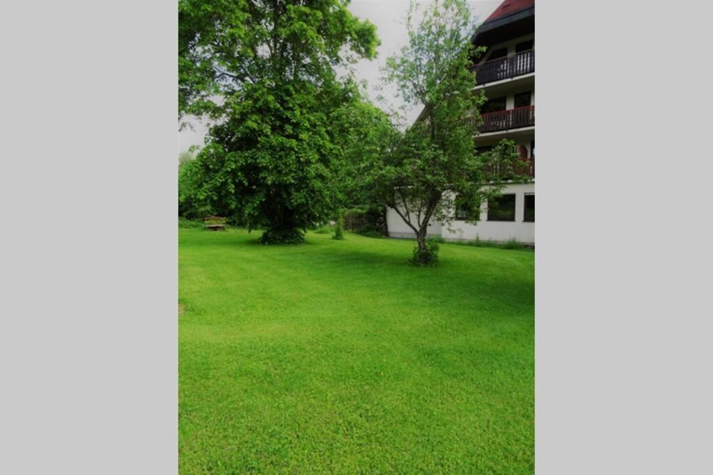 Modernes Apartment Mit Traumhaftem Blick Ins Gruene Bräunlingen Esterno foto